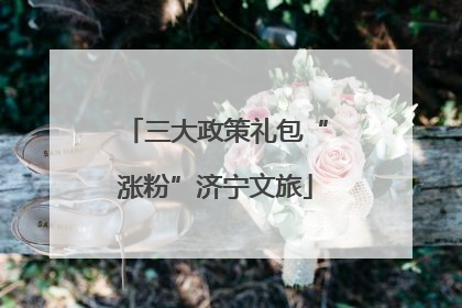 三大政策礼包“涨粉”济宁文旅